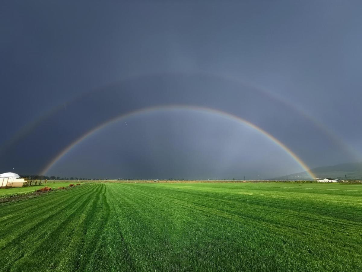 Jewelberry Glamping Hotel Tbilisi Mtsʼkhetʼa Esterno foto
