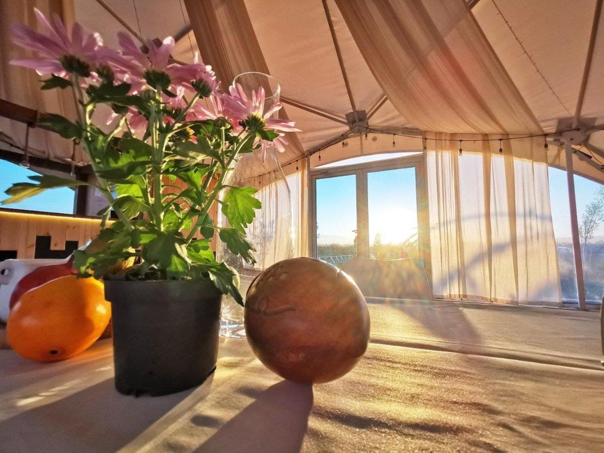 Jewelberry Glamping Hotel Tbilisi Mtsʼkhetʼa Esterno foto